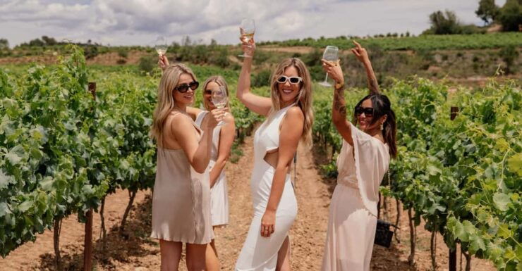 Barcelona: Penedès 3 Wine Tastings + 3-Course Gourmet Lunch - Itinerary and Experience