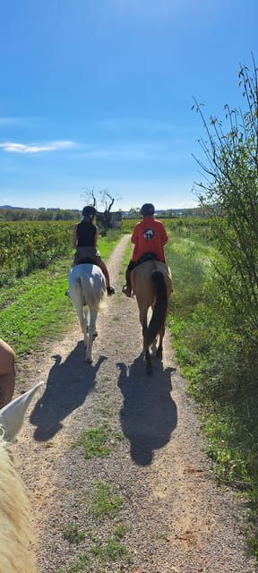 Barcelona: Penedès Vineyard Horseback Ride With Wine Tasting - Key Points