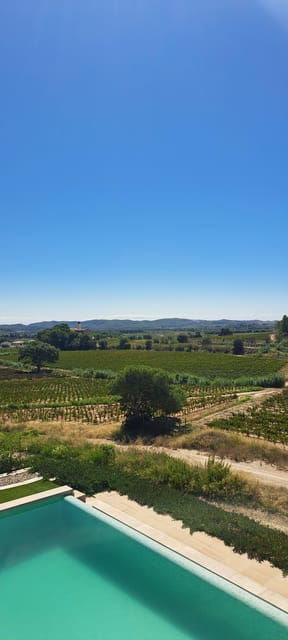 Barcelona: Penedès Vineyard Horseback Ride With Wine Tasting - Authentic Winery Tour and Tasting Experience