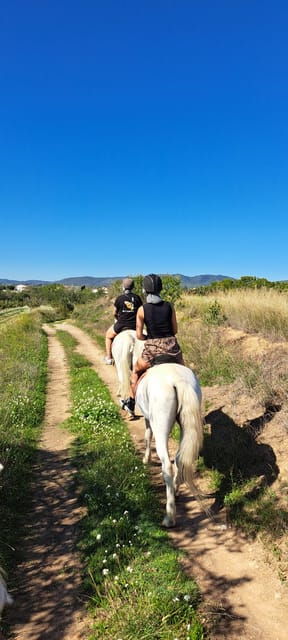 Barcelona: Penedès Vineyard Horseback Ride With Wine Tasting - Flexibility and Convenient Pickup Service