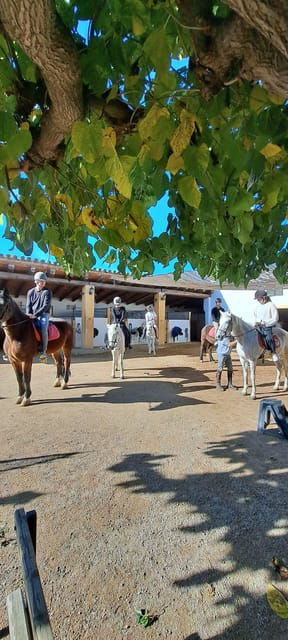 Barcelona: Penedès Vineyard Horseback Ride With Wine Tasting - Itinerary and Experience Overview