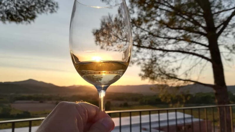 Barcelona: Penedes Wine Tasting Tour with Lunch - Good To Know