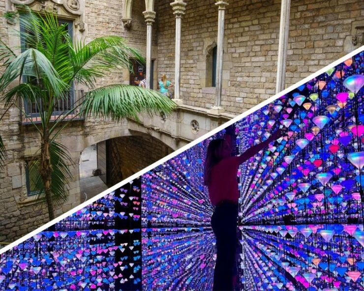 Barcelona: Picasso and Moco Museum - Picasso Museum Guided Tour Details