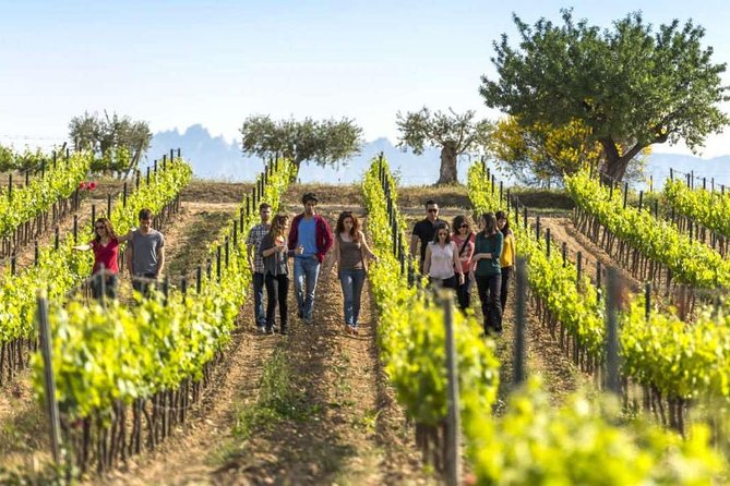 Barcelona Port Shore Excursion: Countryside Wine&Cava Tastings and Lunch - Common Questions