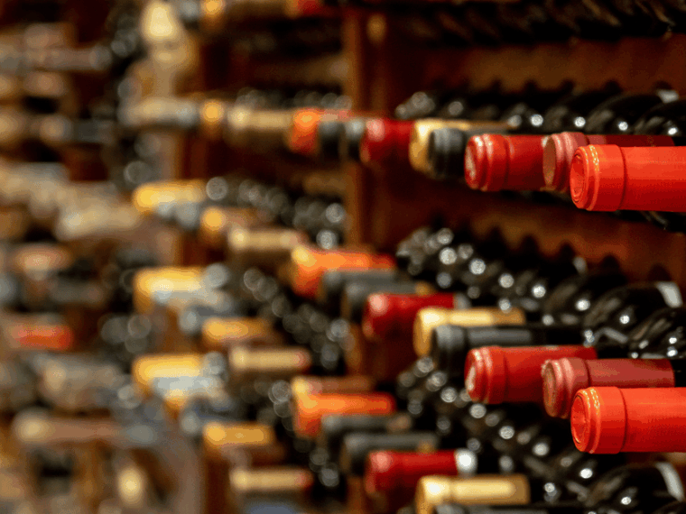 Barcelona: Priorat Wine Tour & Tastings and Lunch - Important Information and Recommendations