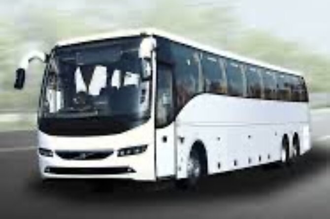 Barcelona Private Bus Transfer Up to 32 Passengers - Service Details