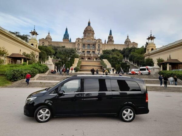 Barcelona: Private City Tour 1-16 Passengers - Included Services and Accessibility