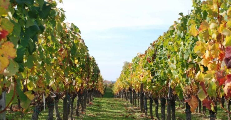 Barcelona: Private E-Bike Tour and Wine Tasting - Good To Know