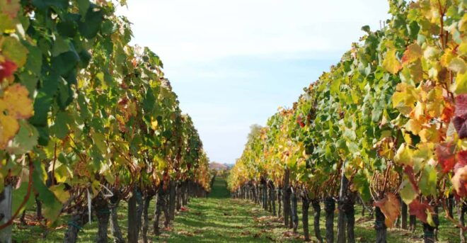 Barcelona: Private E-Bike Tour and Wine Tasting - Experience Features