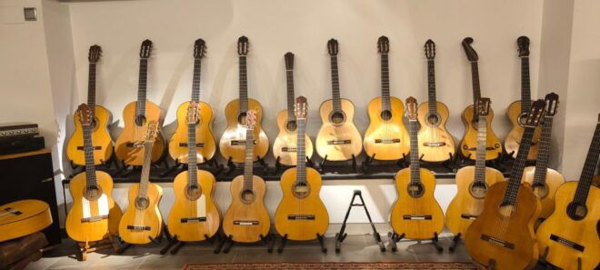 Barcelona: Private Gothic Quarter Tour With Flamenco Show - Language Options