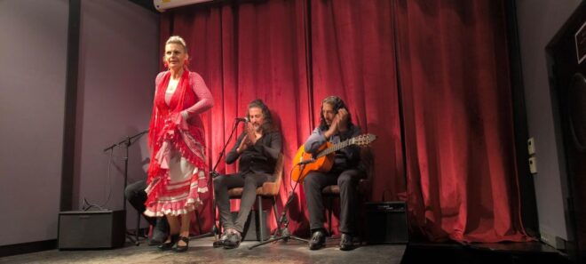 Barcelona: Private Gothic Quarter Tour With Flamenco Show - Flamenco Show Experience