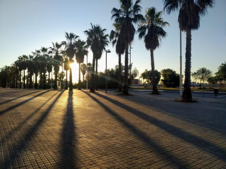 Barcelona: Private Guided 10k City Run at Sunrise - Experience Highlights