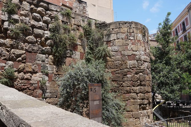 Barcelona Private Guided Walking Tour to Old Town, Lunch and Sagrada Familia - Pricing Details