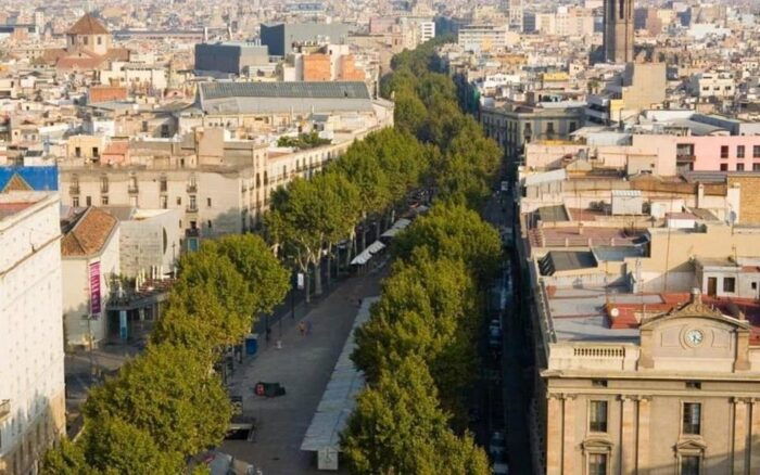Barcelona: Private Half-Day Sightseeing Tour With a Local - Customer Feedback and Recommendations