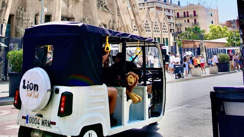 Barcelona: Private Hop-On Hop-Off Lion Tuk Tuk Tour - The Experience: What You Can Expect from the Tour
