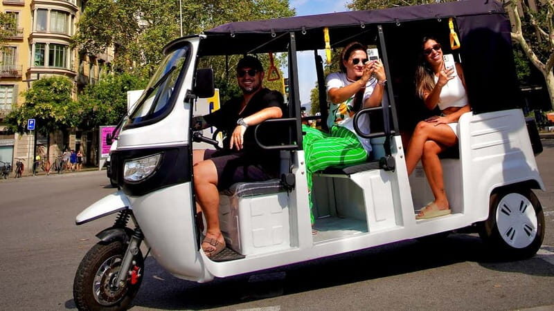Barcelona: Private Hop-On Hop-Off Lion Tuk Tuk Tour - Analyzing the Value