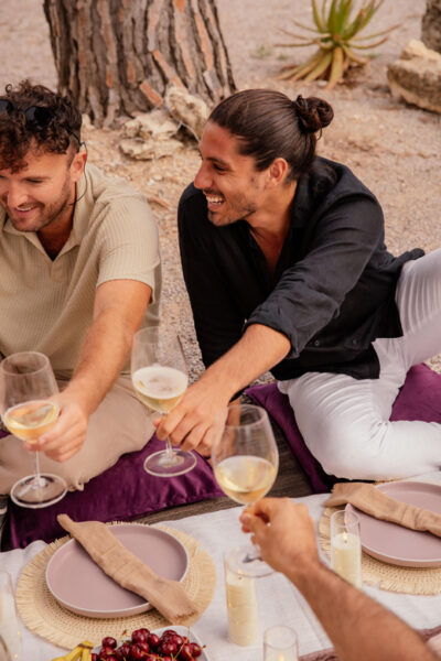 Barcelona: Private Penedès 2 Wine Tastings + Picnic & Tapas - Inclusions and Pricing