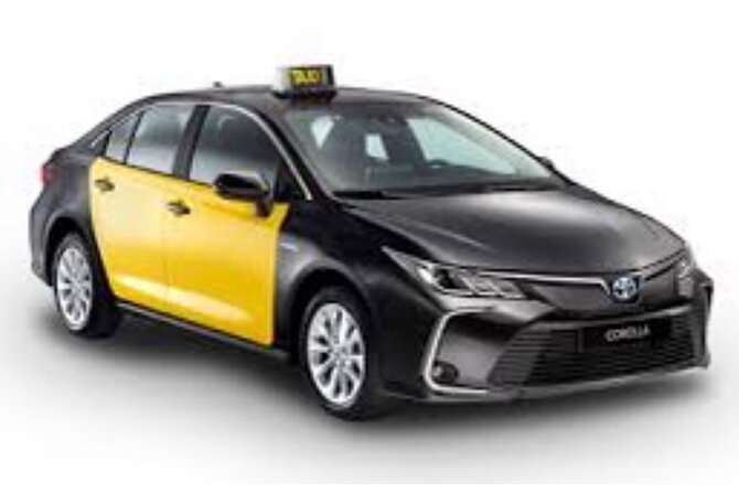 Barcelona Private Transfer From Cruise Terminal to Barcelona City - Significance of the Meeting Point