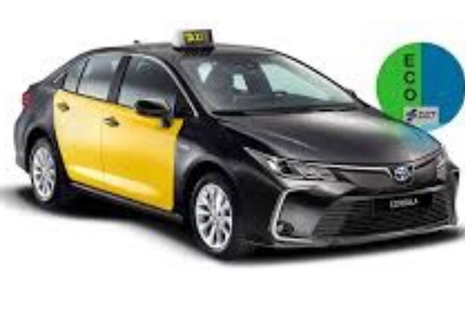 Barcelona Private Transfer From Cruise Terminal to Barcelona City - What to Expect During the Transfer