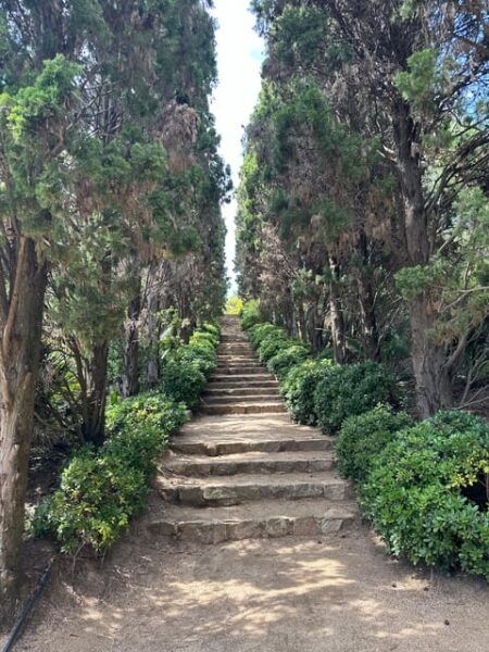 Barcelona: PRIVATE Wine Tasting & MARIMURTRA Garden + Blanes - Marimurtra Botanical Garden