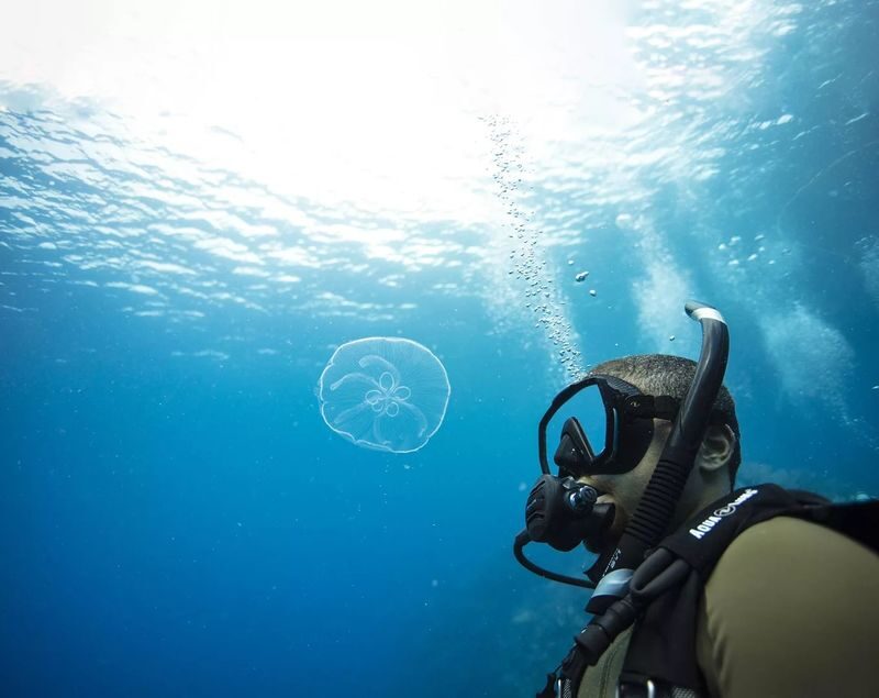 Barcelonas Dive Discovery: Initiate Scuba Diving with PADI Center - Taking your first steps in open water