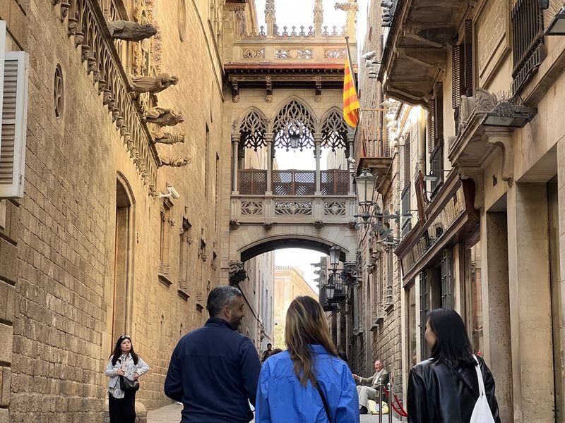 Barcelonas Gothic Quarter Guided Tour, Flamenco Show & Tapas Dinner - Tapas dinner in Plaça Reial