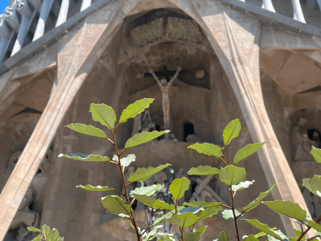 Barcelona: Sagrada Familia Gaudís Masterpiece Audio Guide - App and Navigation
