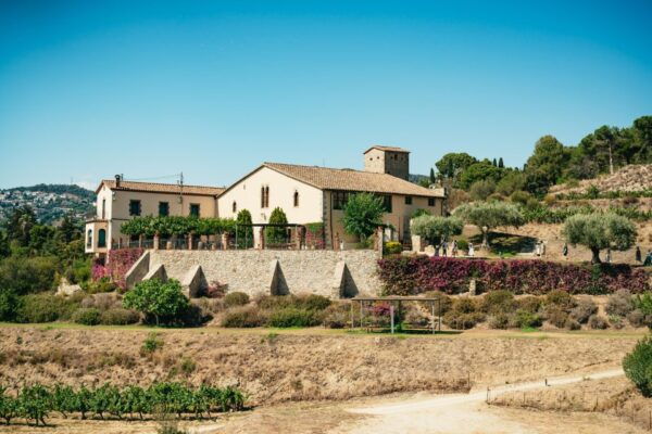 Barcelona: Sailing Cruise & Vineyard Visit With Wine Tasting - Book Now