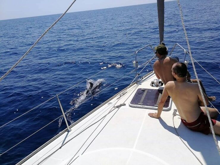 Barcelona: Sailing Trip With Drinks and Snacks - Activity Details