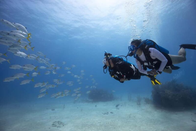 BARCELONA: SCUBA DIVING INITIATION - Dive in and experience underwater adventures - 2 hours - Good To Know