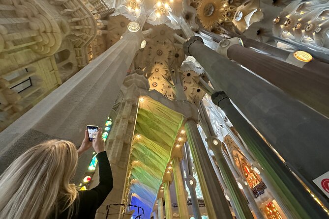 Barcelona Skip the Line Sagrada Familia & Parc Guell Private Tour - Overview of the Barcelona Skip the Line Tour