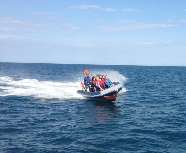 Barcelona: Speedboat Coastline Tour - The Experience in Detail