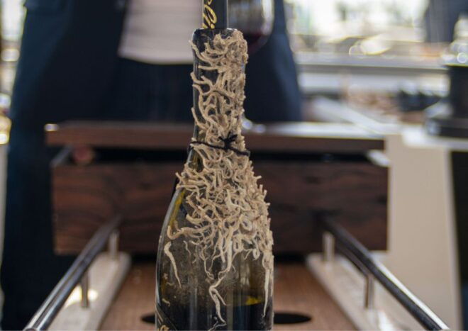 Barcelona: Submarine Winery Wine Tasting and Sailing Tour - Meeting Point