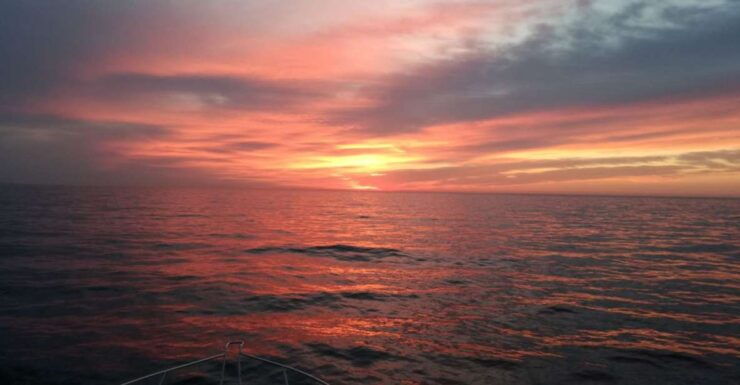 Barcelona Sunrise Sailing. The Best Start to Your Day - Inclusions