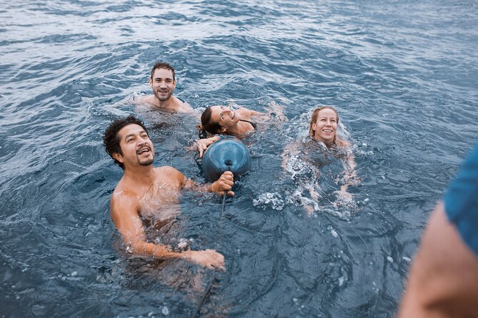 Barcelona Sunset Cruise With Open Bar of Cava & Local Champagne - Reviews and Booking