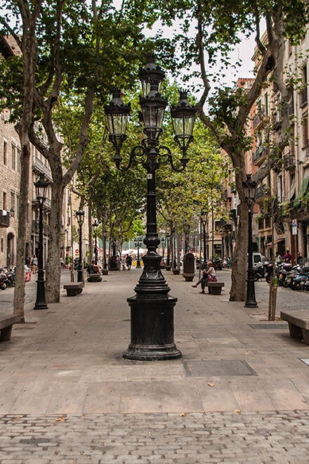 Barcelona: the Born Guided Walking Tour With the Picasso Museum - Frequently Asked Questions