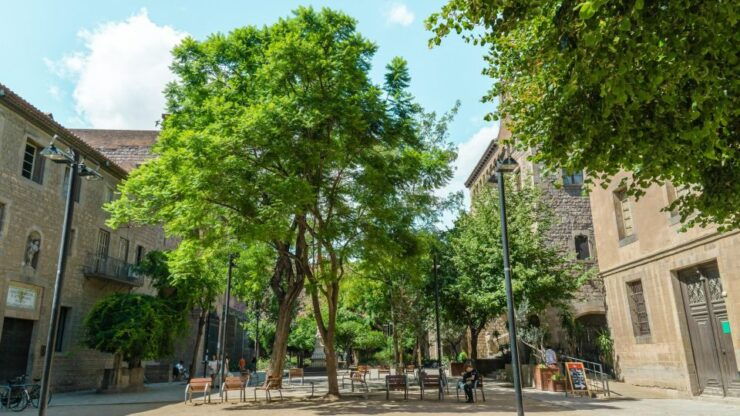 Barcelona the Essentials and Secrets of the “Eixample” - Eixample District Overview