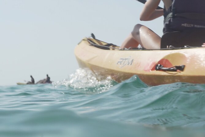 Barcelona to Costa Brava: Kayak, Snorkel, Photos, Lunch & Beach - The Sum Up
