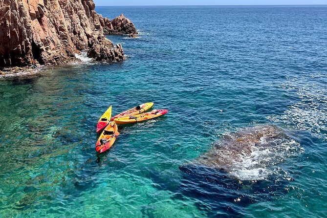 Barcelona to Costa Brava: Kayak, Snorkel, Photos, Lunch & Beach - Highlights of the Tour and Positive Feedback on Guides