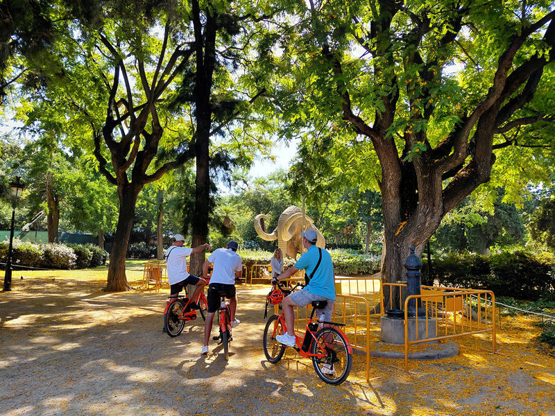 Barcelona Top 20 Bike & E-Bike Tour with Local Guide - Standard bike or e-bike?