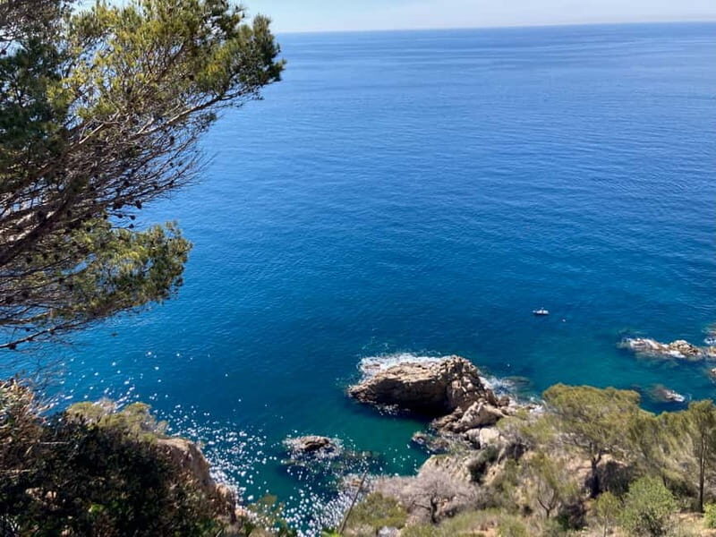 Barcelona: Tossa de Mar & Costa Brava very small group - Final Thoughts: Is It Worth It?