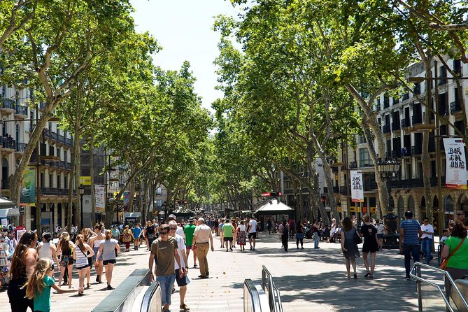 Barcelona Tour Contrasts 4 Hours -Reduced Group Pick up Hotel From Barcelona - Additional Information and Support