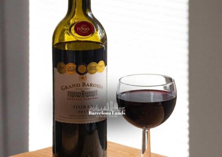 Barcelona: Tour Luxury for Priorat, Wine Tasting & Lunch - Transportation