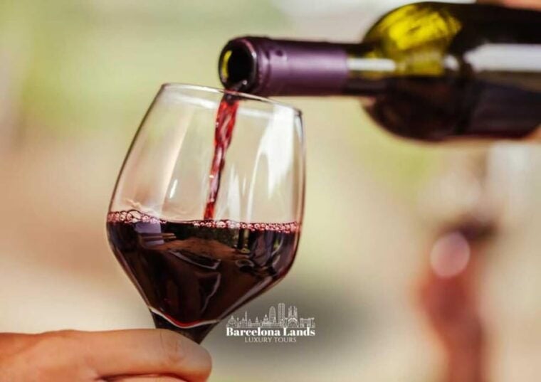 Barcelona: Tour Luxury for Priorat, Wine Tasting & Lunch - Important Information