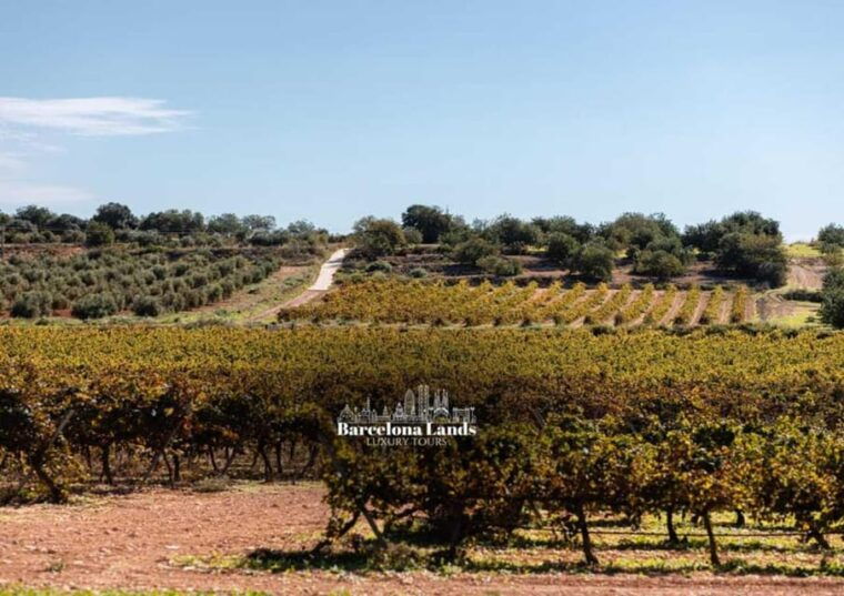 Barcelona: Tour Luxury for Priorat, Wine Tasting & Lunch - Gourmet Lunch at a Renowned Restaurant