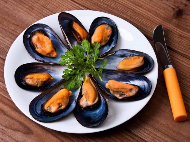 Barcelona: Tour: Mussels, Rice Plantation and Paella - Itinerary Highlights