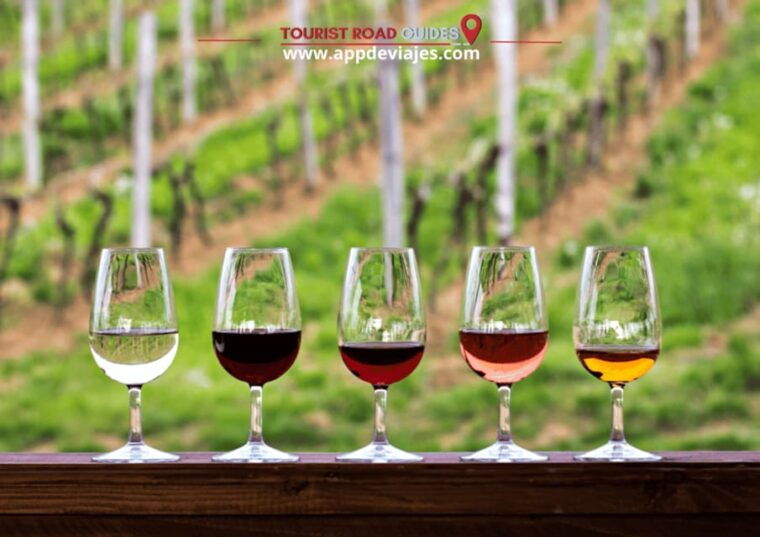 Barcelona: Tour Private Besalu, Dalí & Wine Tasting - Explore the Emporda Wine Region