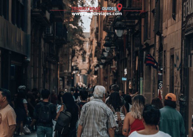 Barcelona Tour: Walking 6 Hours - Olympic Village and Barceloneta