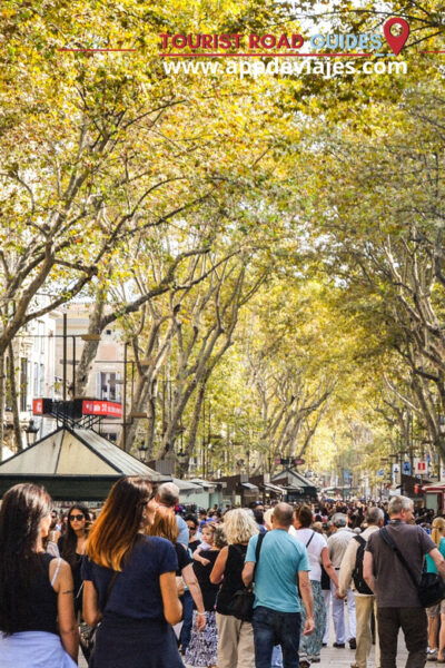 Barcelona Tour: Walking 6 Hours - Gothic Quarter