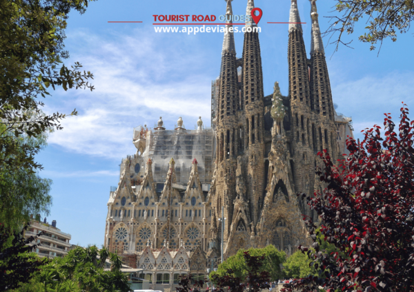 Barcelona Tour: Walking 6 Hours - Tour Experience